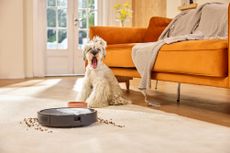The Nimble T6 Roboto Vacuum Cleaner from Vactidy