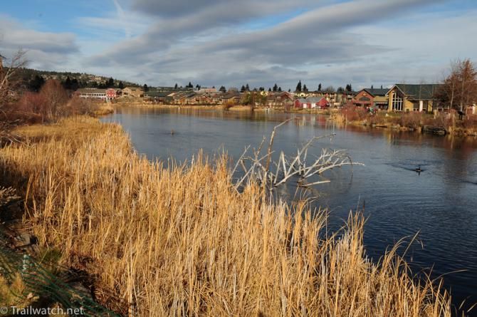The river in Bend