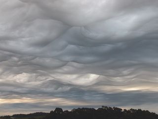 An undulating asperitas cloud, photographed at Shorewell Park in Tasmania, Australia, at 7:48 a.m. local time on Feb. 20, 2004.