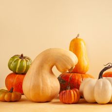 A collection of winter squash against a beige background