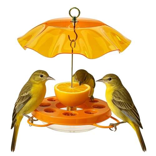 Birds Choice Oriolefest Oriole Bird Feeder With Protective Weatherguard | Hanging Bird Feeder for Jelly, Oranges &amp;amp; Nectar | 4 Feeding Ports &amp;amp; Trays With Ant Moat &amp;amp; Bee Guards | 12 Oz, Orange
