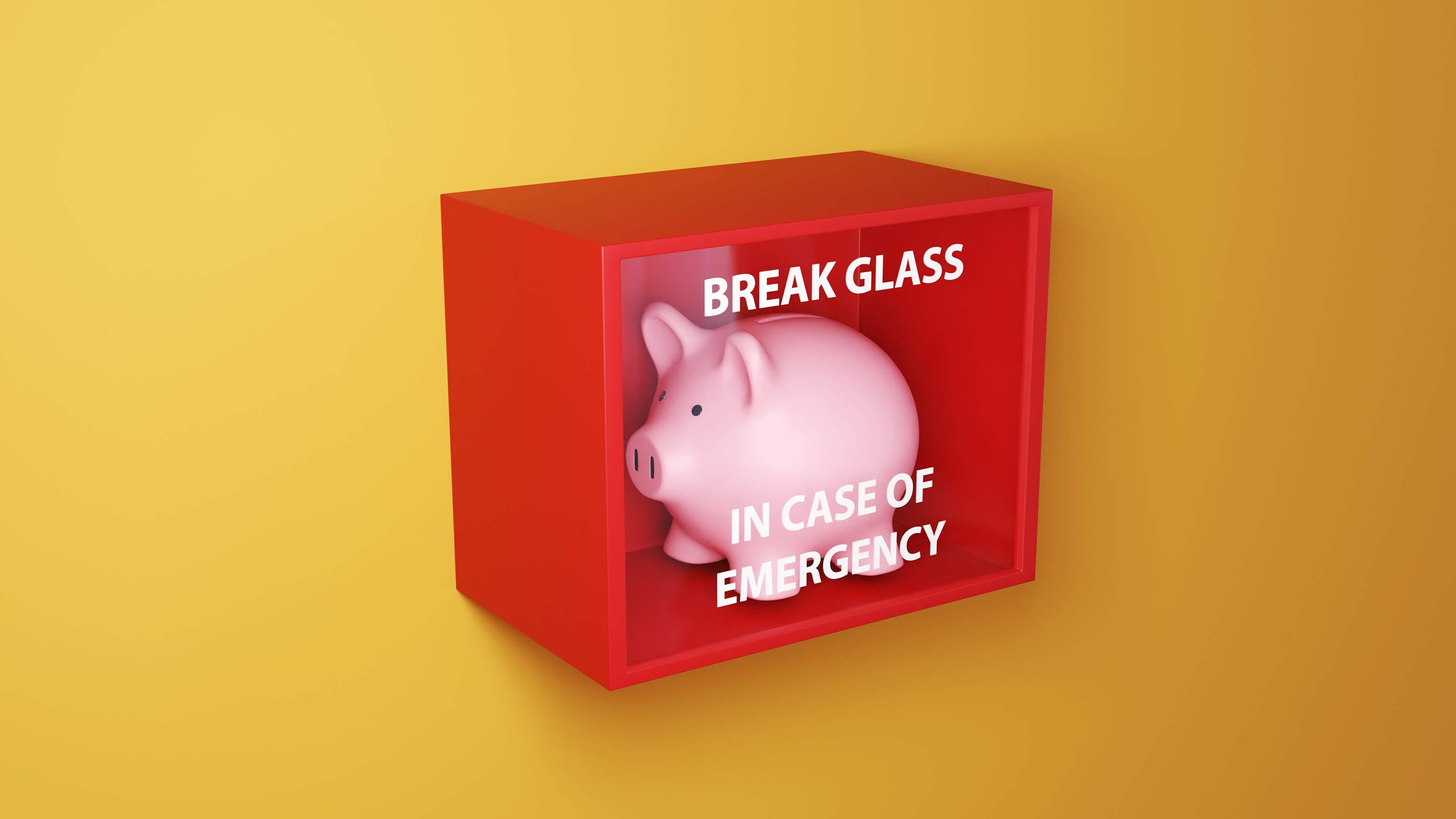 A piggy bank inside a red &quot;break glass in case of emergency&quot; box.