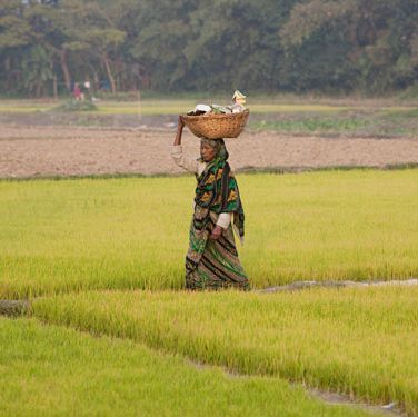 bangladesh women