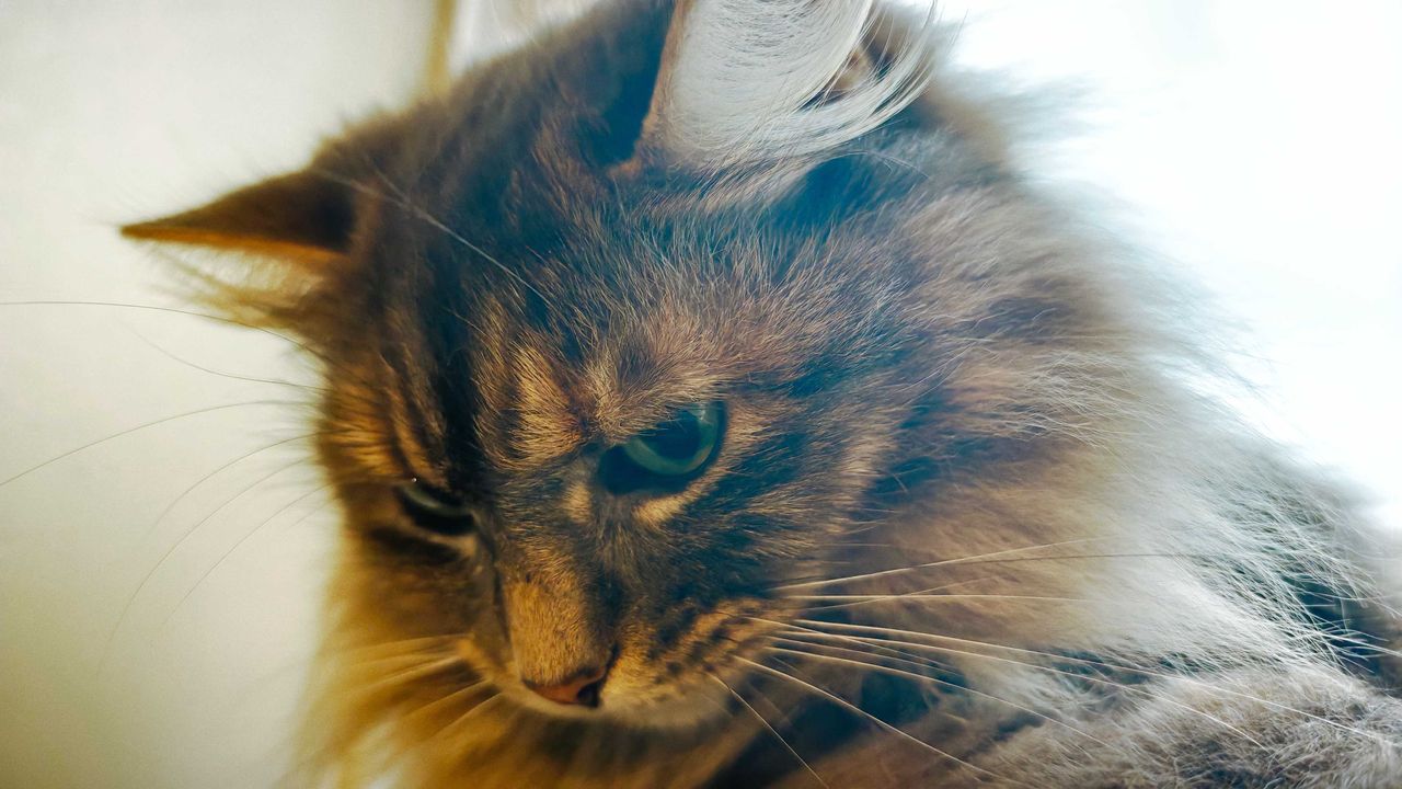 Image taken with a Poco F8 Ultra camera