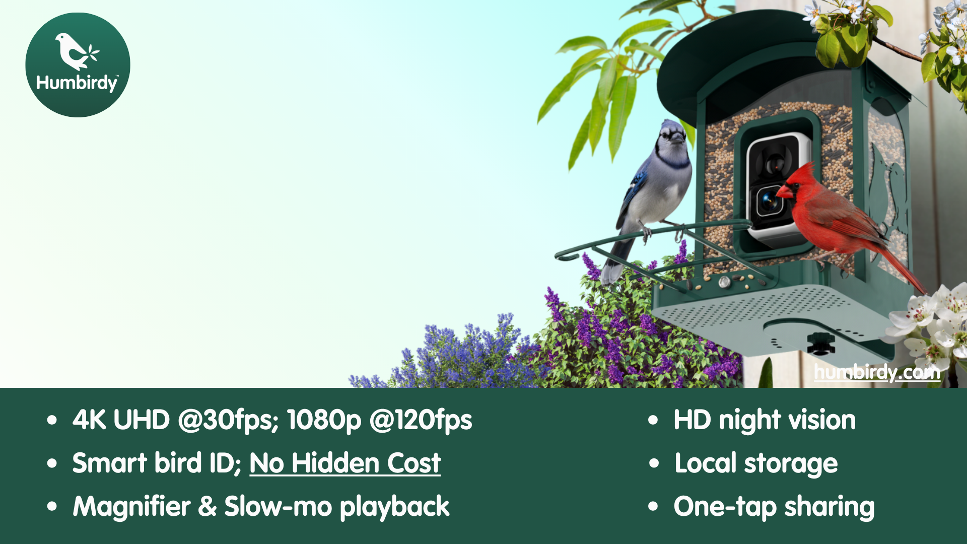 Humbirdy AI Bird Feeder 4K Ultra promotional images