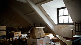 loft space with boxes and micellaneaous items