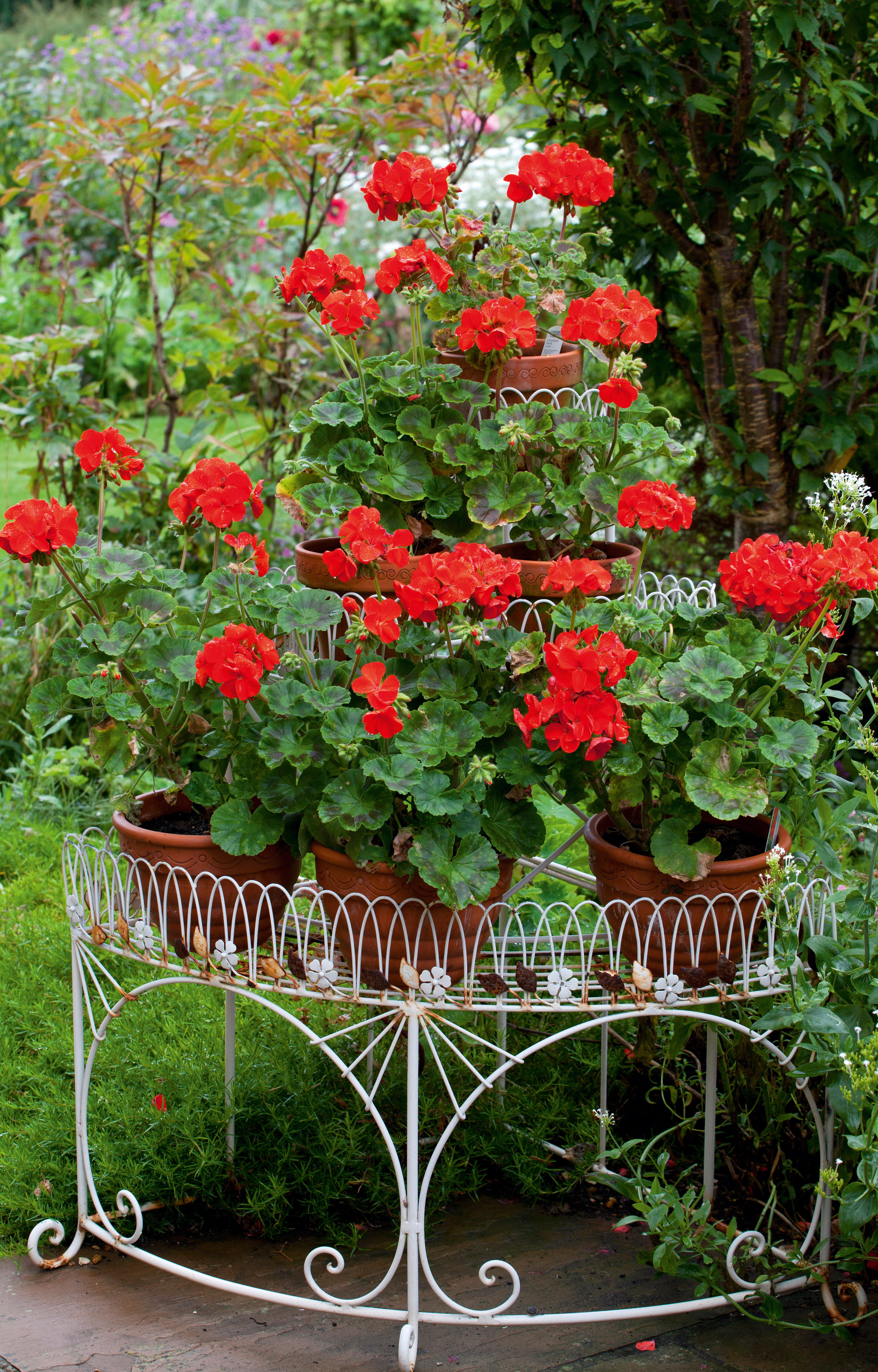 container gardening