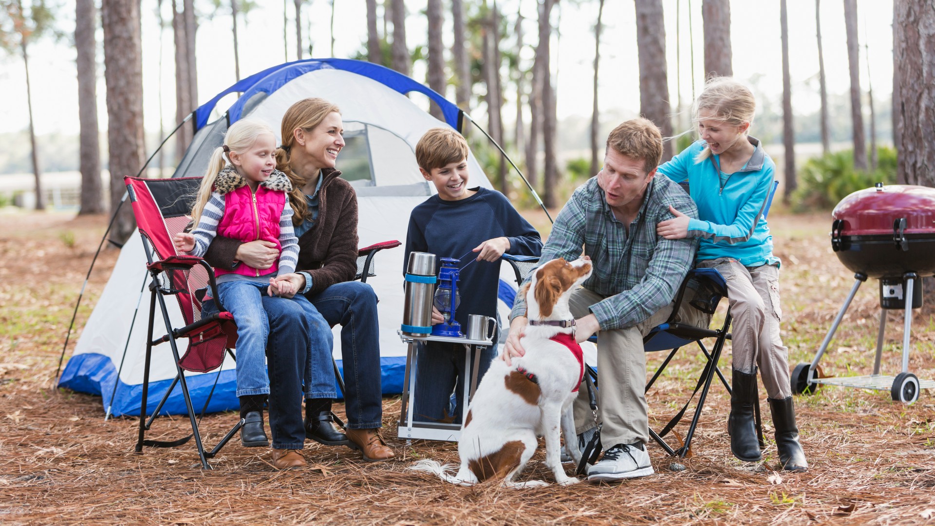 How to have a fabulous time camping with a dog | PetsRadar