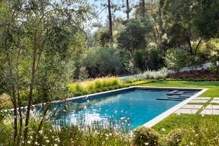 pool landscaping ideas: pool surrounded by plants and a stepping stone path