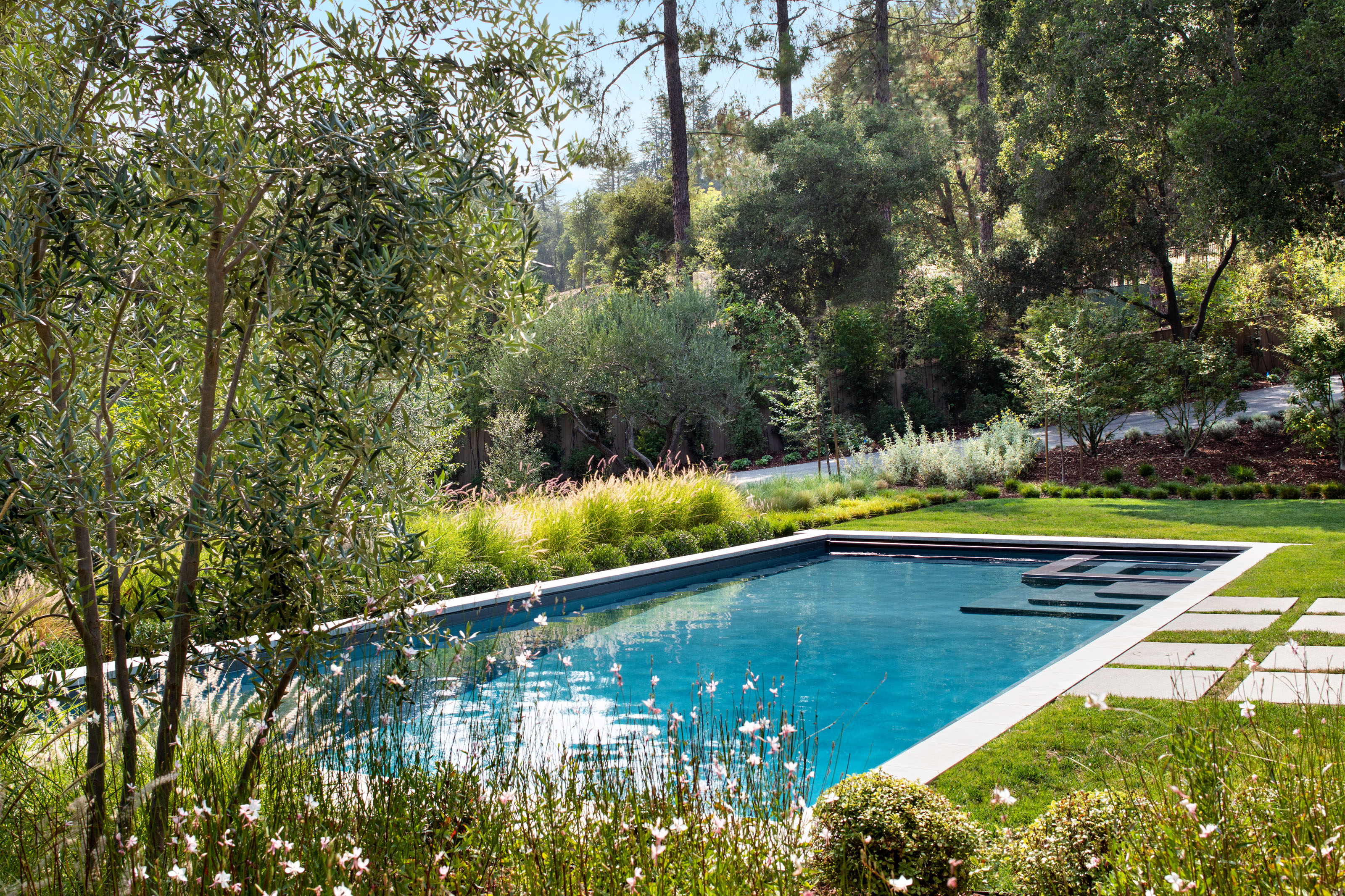 pool landscaping ideas: pool surrounded by plants and a stepping stone path