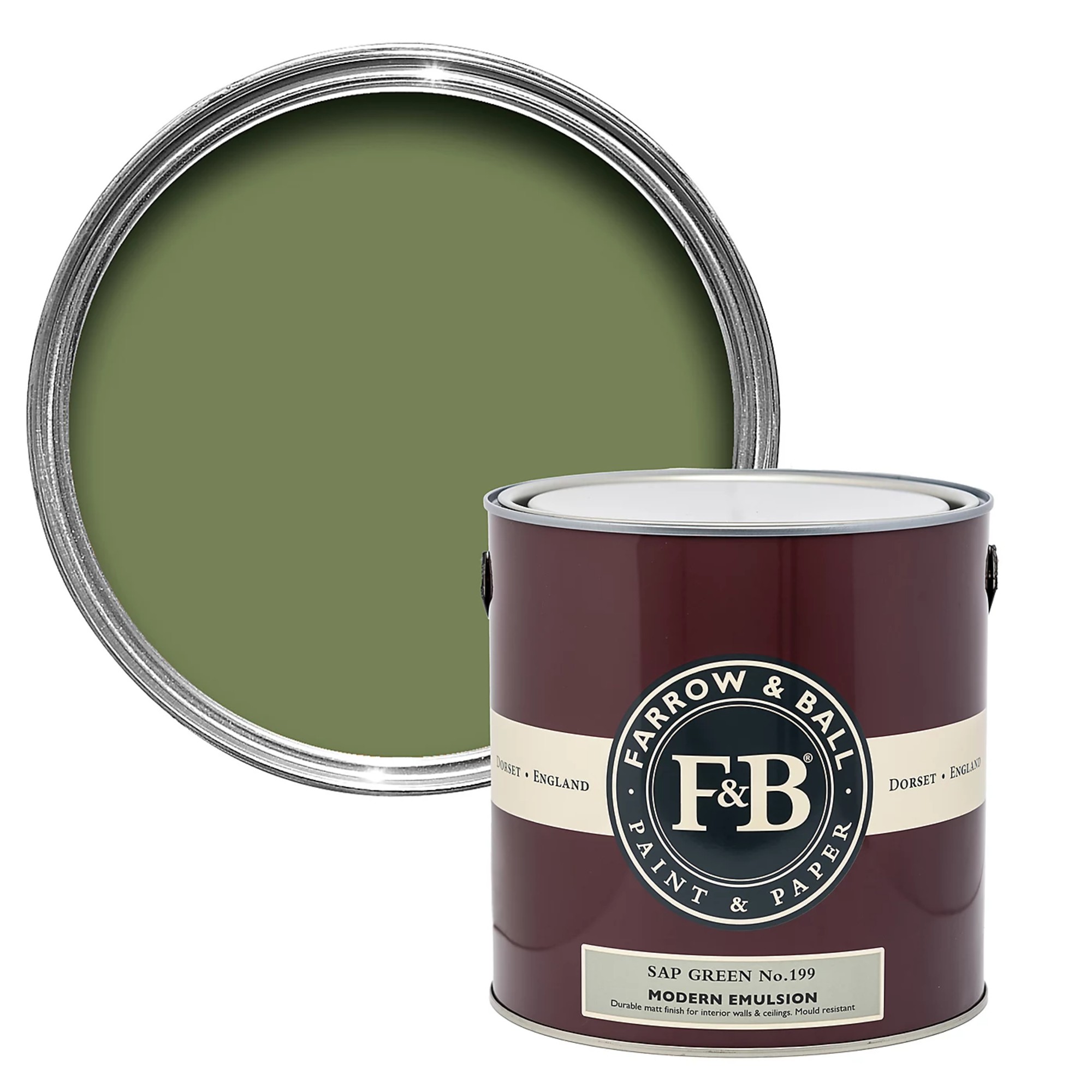 Farrow &amp;amp; Ball Modern Sap Green No.199 Matt Wall &amp;amp; ceiling Emulsion paint, 2.5L