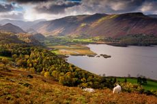 Farming and the environment are 'one and the same', and this view — of sheep overlooking Great Bay at Derwent Water, in the Lake District — seems a perfect distillation of that.