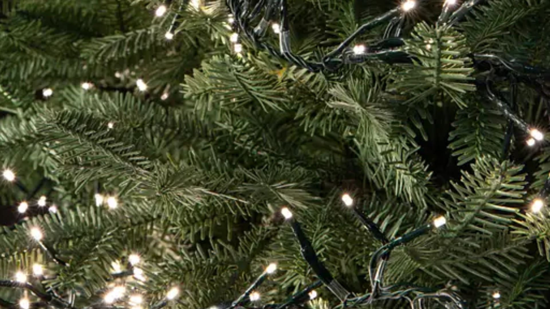 Best Christmas tree lights 2022 tried, tested and rated Woman & Home