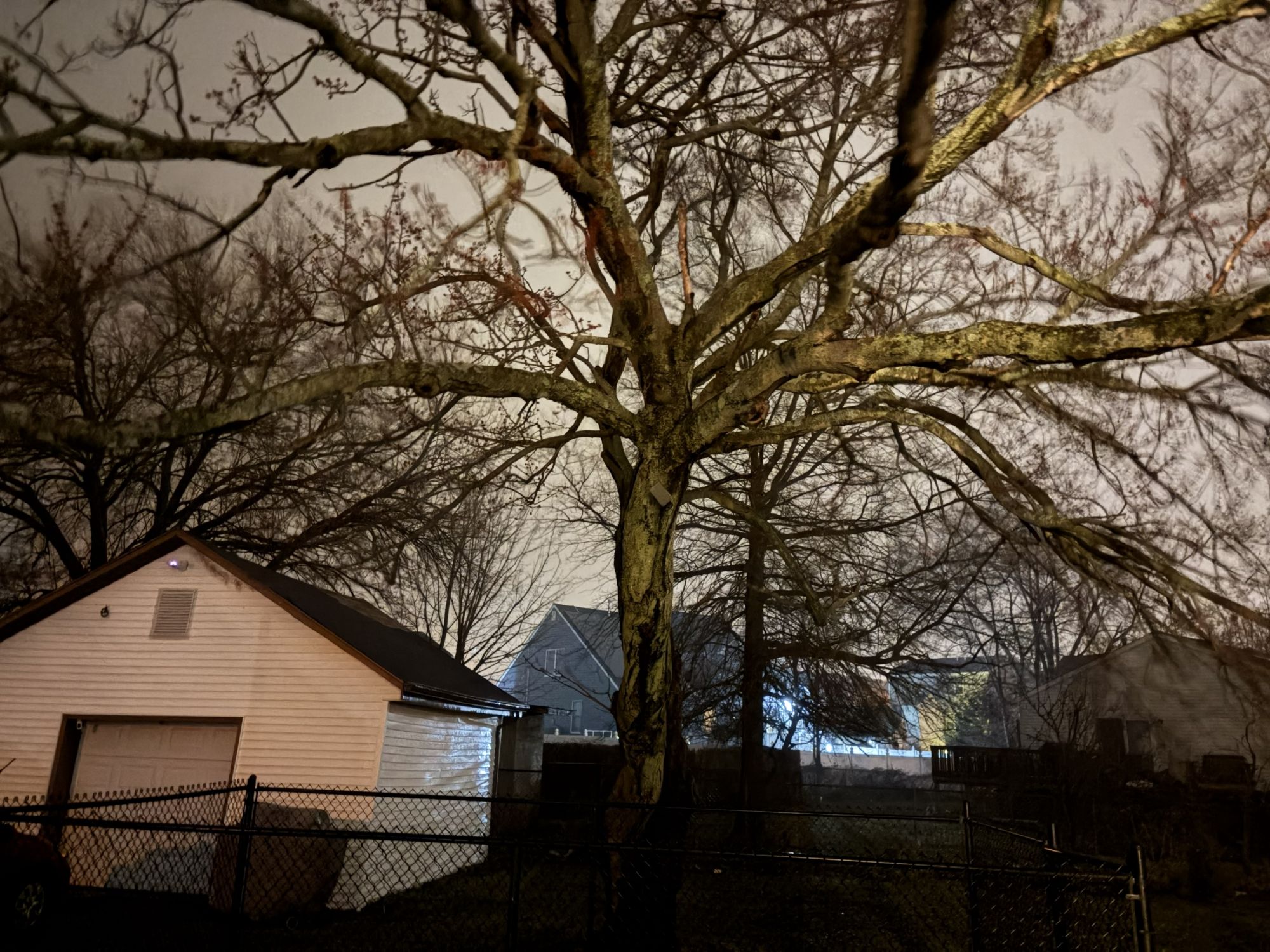 Apple iPhone 17 camera sample.