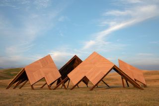 cluster of wooden canopies in landscape