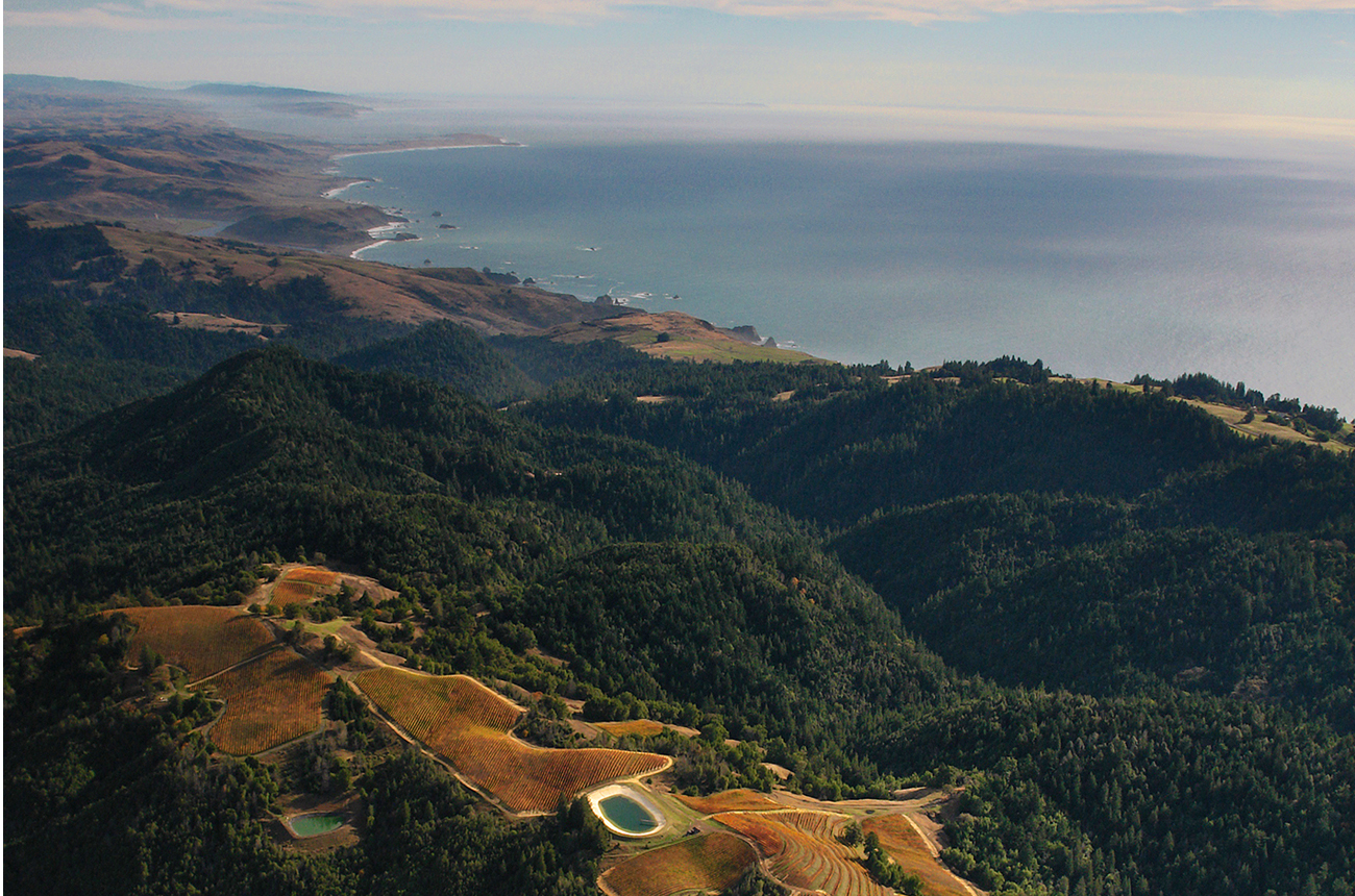 Fort-Ross-Vineyard-on-the-West-Sonoma-Coast.-Credit-Fort-Ross-Vineyard.jpg
