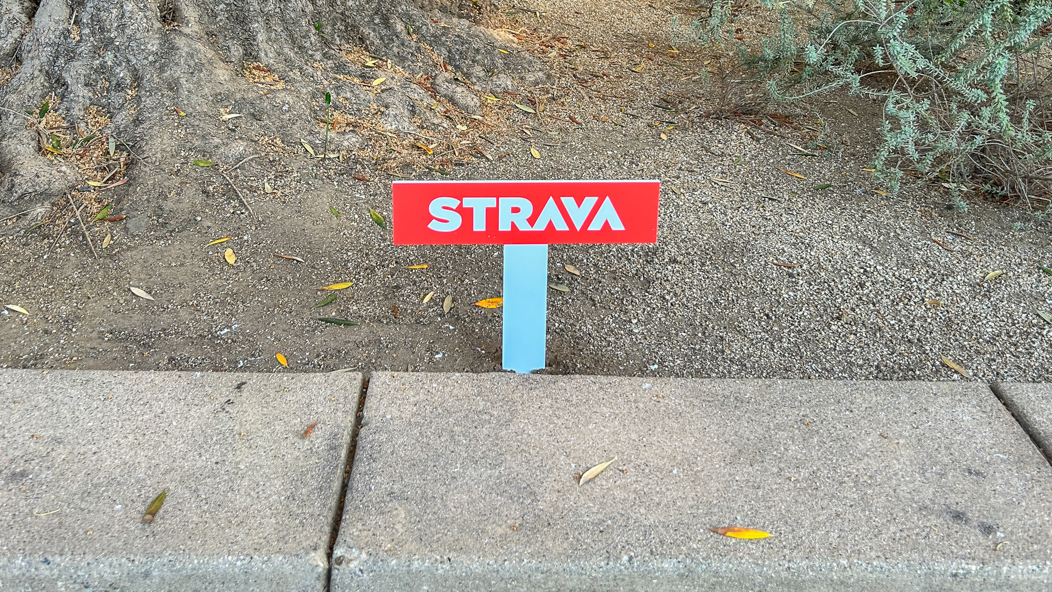 Strava sign on the ground