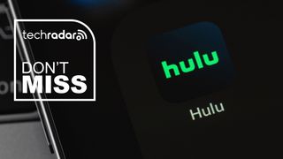 Hulu Black Friday deal