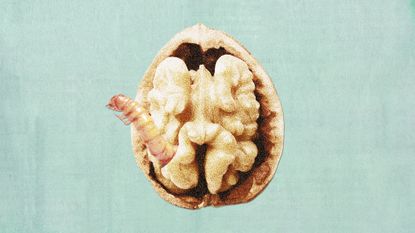 Photo collage of a worm coming out of a walnut half