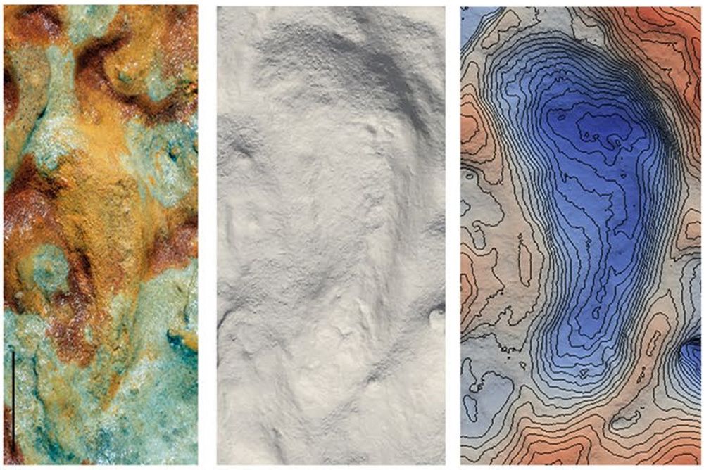 Scientists say the footprints are the first direct evidence that the region was inhabited by Neanderthals, who lived in parts of Europe for about 300,000 years before the first early modern humans arrived.