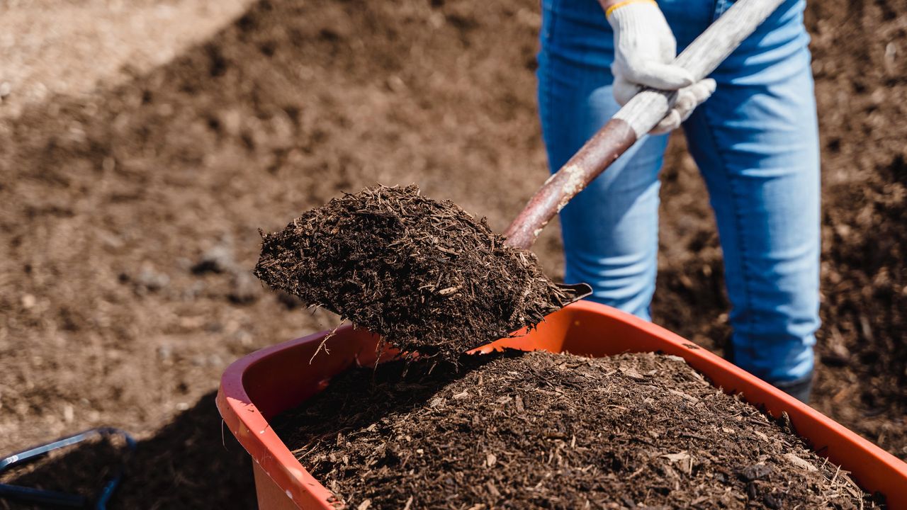 Compost lifestyle - pexels-greta-hoffman