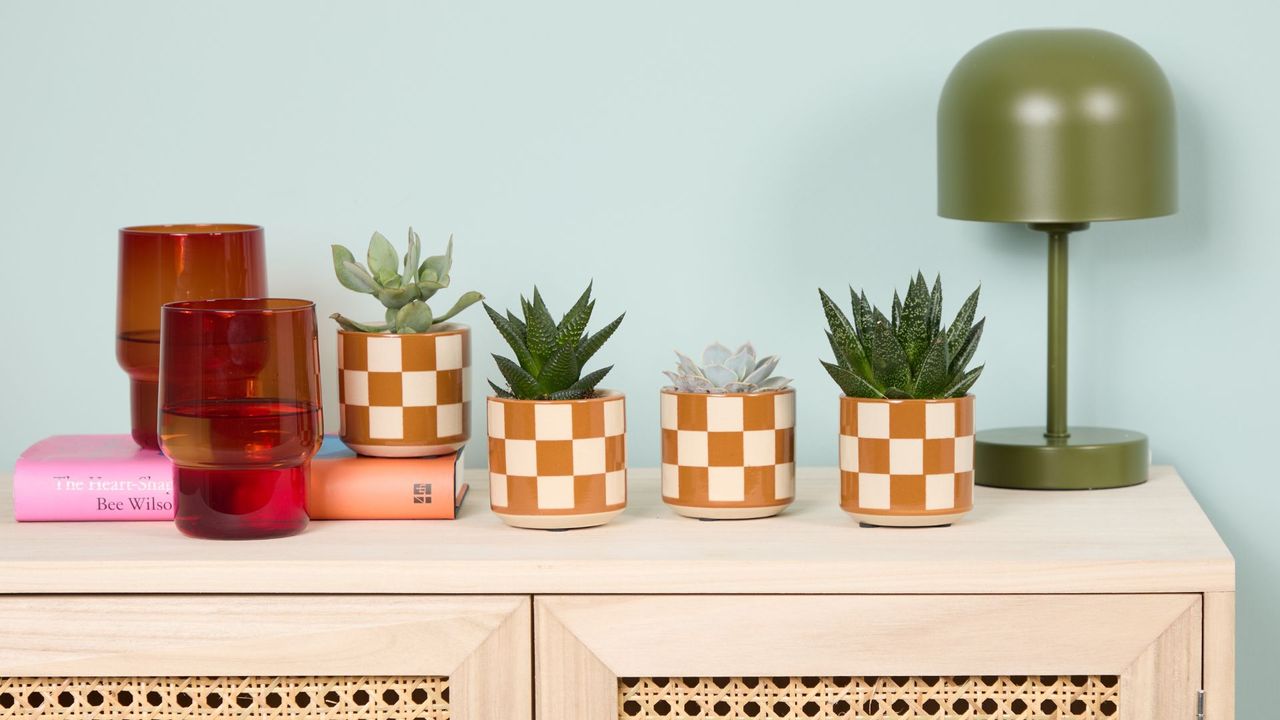 A light wood rattan sideboard with four mini potted succulents in mustard checkerboard planters by a green table lamp and a set of two red glasses by a pink book