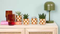 A light wood rattan sideboard with four mini potted succulents in mustard checkerboard planters by a green table lamp and a set of two red glasses by a pink book