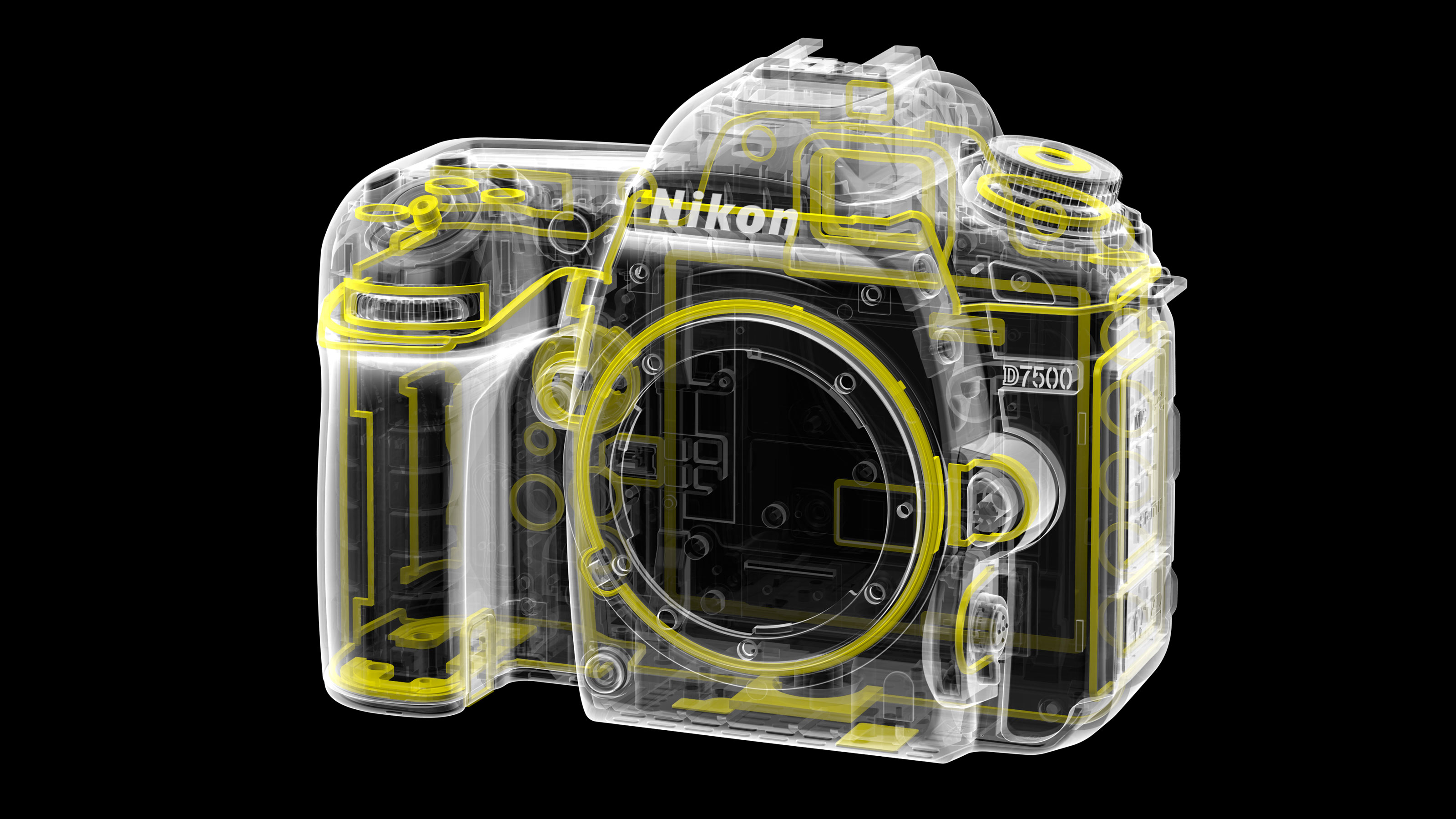 Nikon D5600 vs D7500