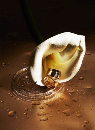 gold rings, flower petal and plastic lid in a still life