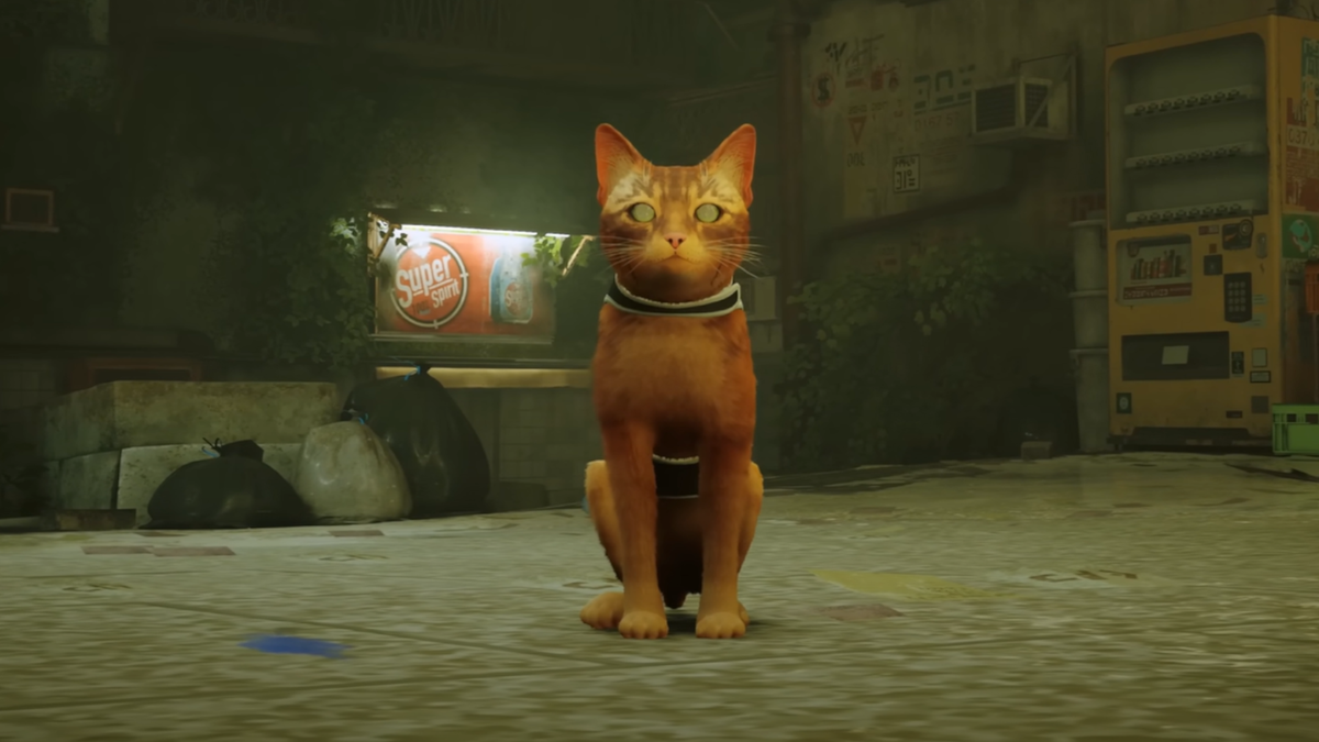 Stray's biggest fans are mesmerized cats, the cat game ps5 