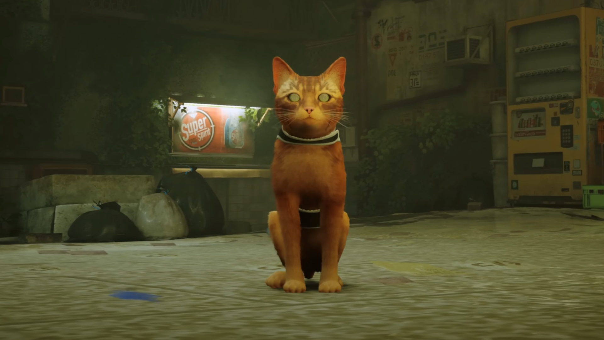 Stray is an upcoming PS5 game about a cat living among robots