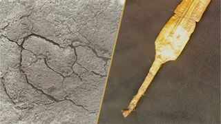 A composite of cracks created in the lab to resemble 'spiders on Mars' and a golden sword bearing an inscription of 'Ramesses II'