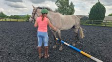 Woman holding horse standing over a pole, with two legs either side, attempting the sidepass