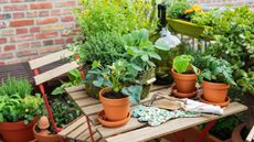 plants and herbs grown on a balcony with table and chairs