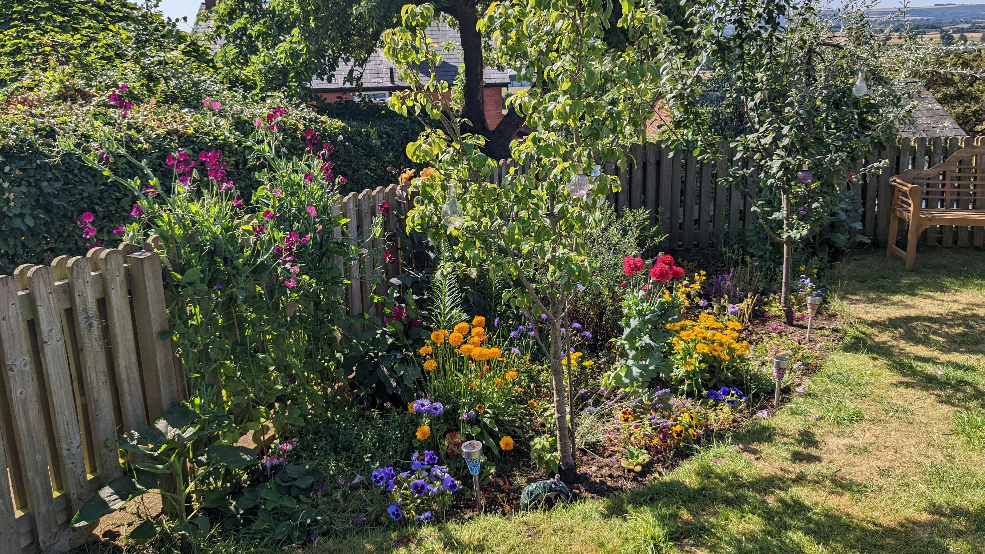 Flower bed in garden against wooden fence, packed with flowering plants