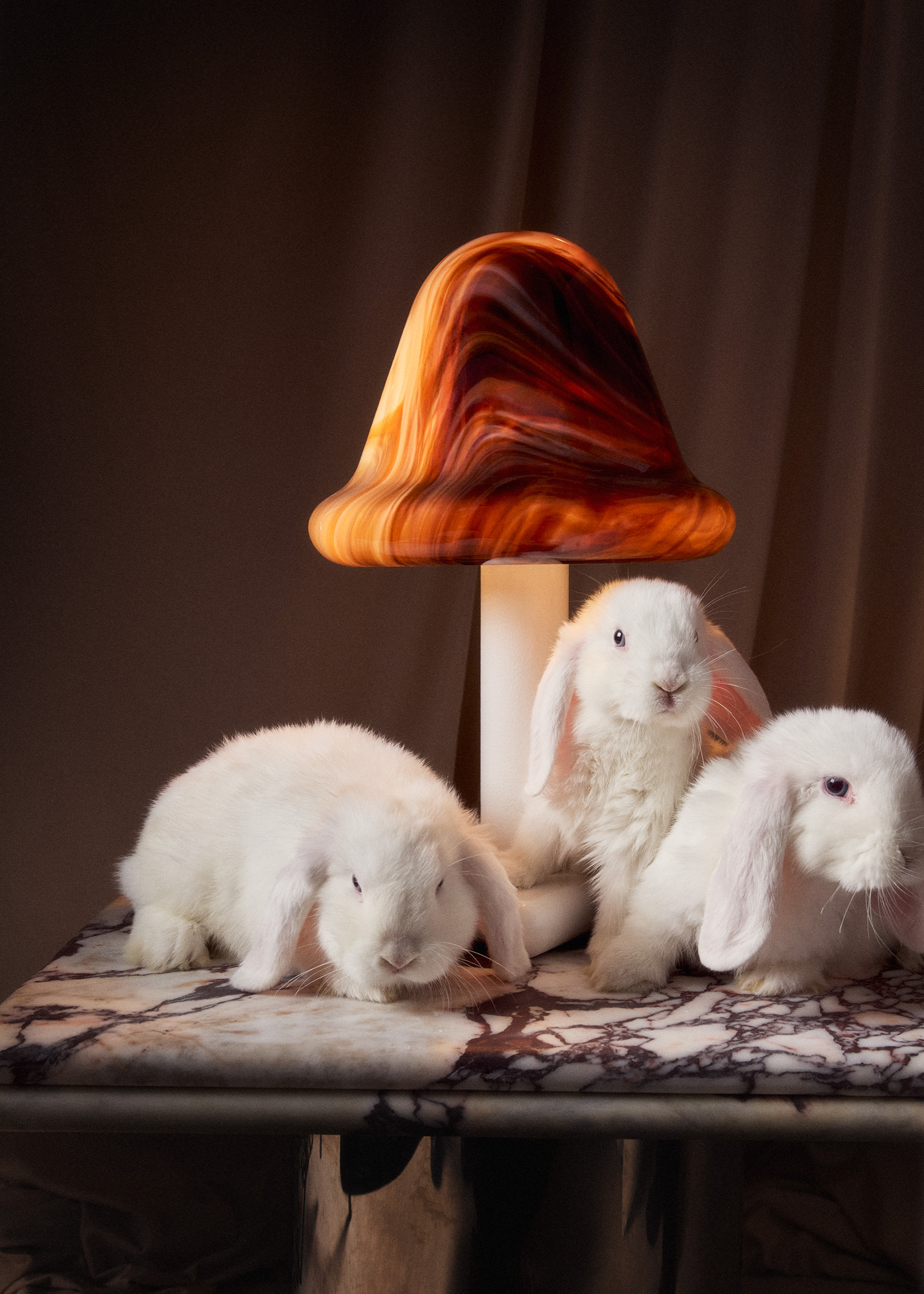 chocolate neotenic lamp with three white bunnies