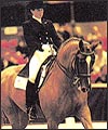 hoysdressageth.jpg