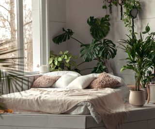 A bed surrounded by plants.