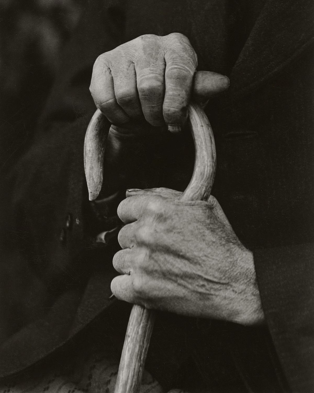 August Sander: Hands of a Farmer, 1910