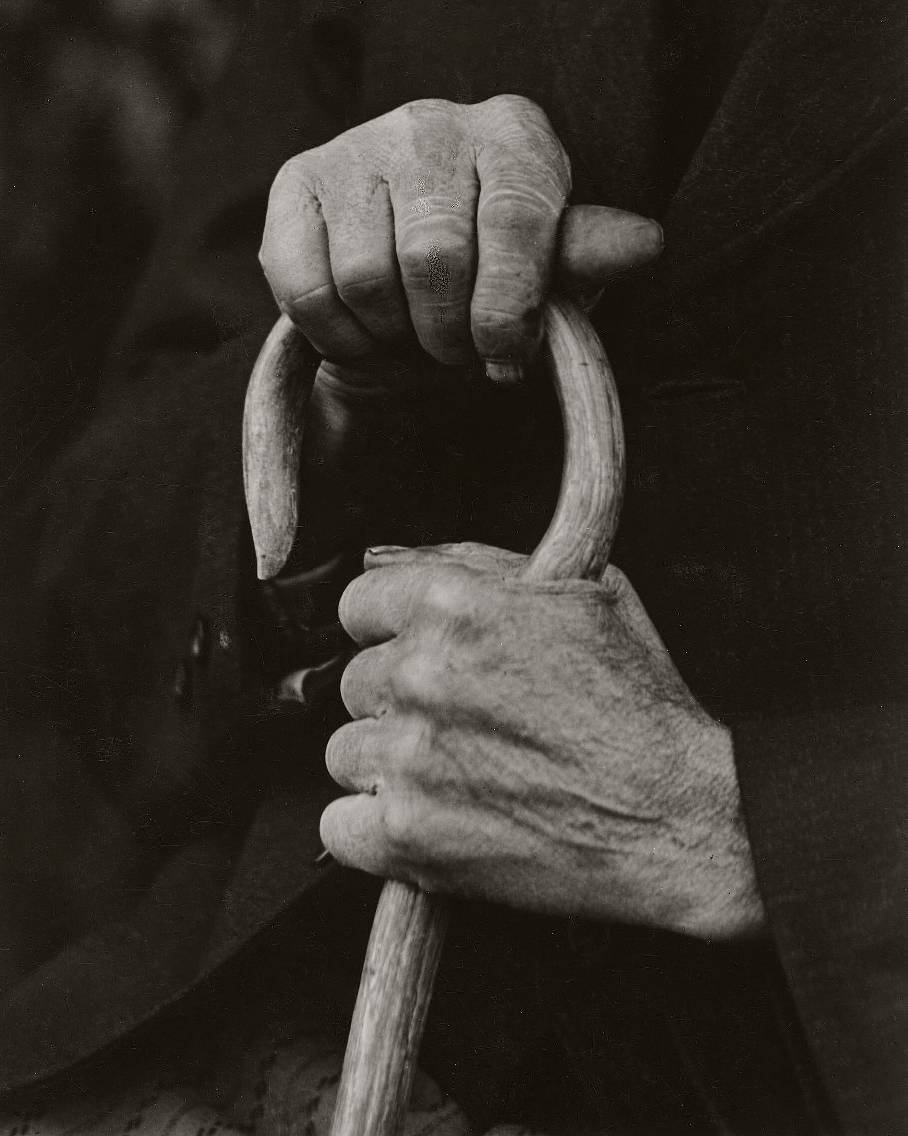 August Sander: Hands of a Farmer, 1910