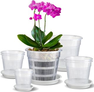 IWTTWY Clear Orchid Pot, 8 PCS Plastic Plant Pots