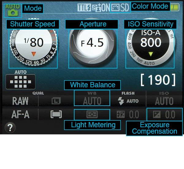 How to Use the Nikon D3300 Tips, Tricks and Manual Settings Tom's Guide