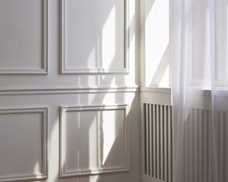 White wall with molding