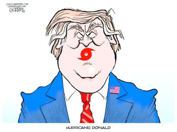 5 Brutally Funny Cartoons About Trump's Hurricane Dorian Response | The ...