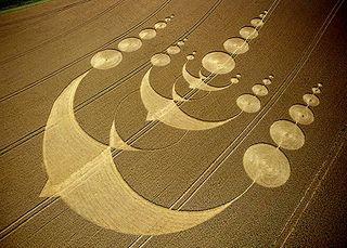 bird crop circle in England