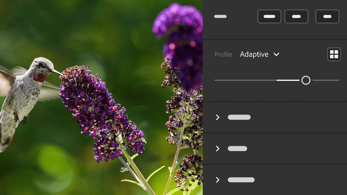 Adobe adds impressive AI features for Lightroom, but I wish I had this ...