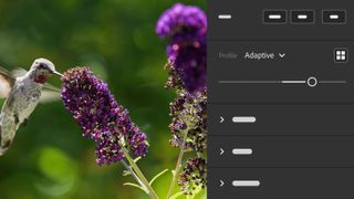 A screenshot of Adaptive Profiles in Adobe Lightroom