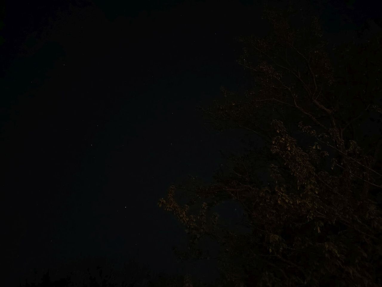 Moto G Stylus (2026) camera sample.