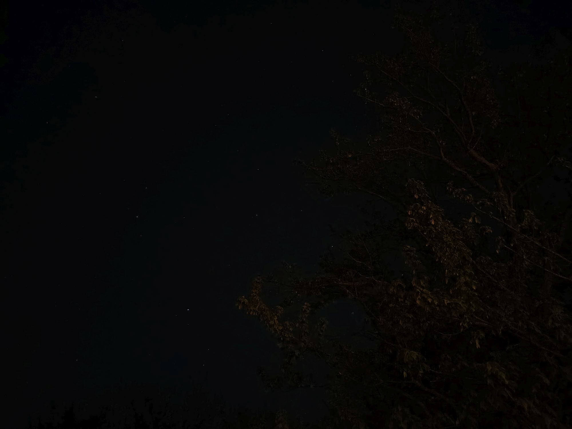Moto G Stylus (2026) camera sample.