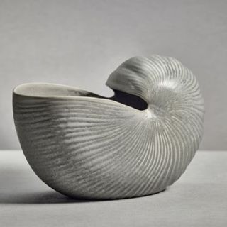 ceramic shell vase
